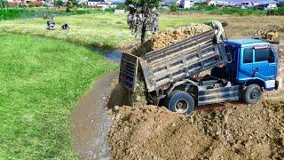 Proseccing New project!5Ton DumpTruck Landfill Huge field, Skill Bulldozer D31P KOMATSU Pushing Soil