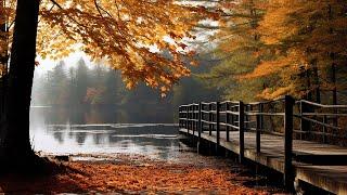 Relaxing Golden Autumn with Peaceful Soothing MusicHealing of Stress, Anxiety ~ November Autumn