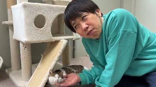 最後の最後に猫に裏切られて白目を剥くオッさん