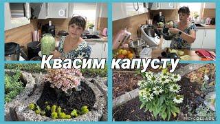 Посадила цветы,посолила капусту,Gemüsestyler Thermomix мой отзыв, но решить вам