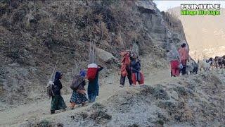 This is the beautiful Nepali Himalayan village life | Carrying food on mules is a risky job | PVLS |