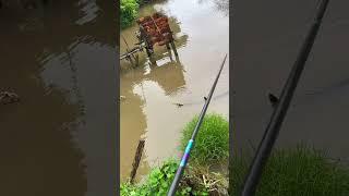 Ghiền quá đi tìm cảm giác- L.T FISHING OFFICIAL