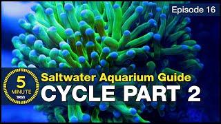 Skip the ugly phase. Step 2 of cycling your saltwater tank with utilitarian fish & bacterial troops