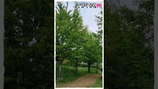 #정준일 #푸른끝 #감성발라드 #마음산책 #힐링산책 #garden #nature #힐링음악 #shorts