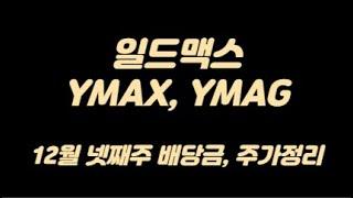 미국주배당ETF 일드맥스 YMAX, YMAG 12월 넷째주 주가/배당금/배당일 정리