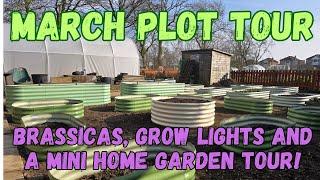 March plot tour, brassicas, grow lights and a mini home garden tour