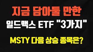 제 2의 MSTY가 될 일드맥스 ETF를 찾아보자