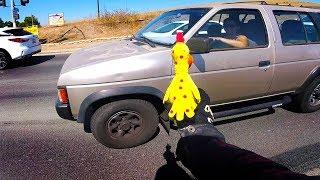 When Chickens ATTACK!!!