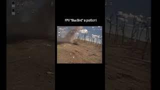 FPV “Blue Bird” в роботі    #фпв #війна #україна #дрон#зсу #херсон #харків #перемога