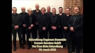 Kalundborg Organum Ensemble - Crucem Sanctam Subiit