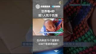 世界每4秒就1人死於飢餓逾200個非政府組織警告，當前的世界估計每4秒鐘便有1人死於飢餓。 他們呼籲，國際採取果斷行動“結束不斷升高的全球飢餓危機。”