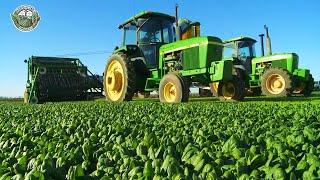 926 Million Pounds Of Spinach Are Harvested In America This Way | Agriculture Technology