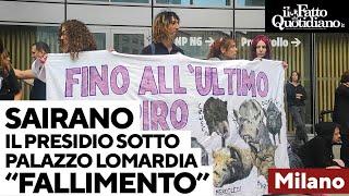 Psa e maiali uccisi a Sairano, presidio sotto la Regione Lombardia: "Fallimento delle istituzioni"