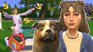 How will my sim and her dog cope without a home? // Sims 4 collecting challenge