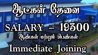  ஆட்கள் தேவை|சம்பளம் - 19300|Room+Food|Chennai Job Vacancy 2024 Tamil|Chennai Jobs Today Openings