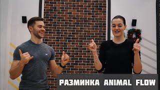 Подготовка к тренировке Animal Flow / Разминка запястий