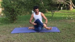 Cow Face Pose - Gomukhasana - Yoga Samiti