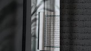 بر پیامبر محبوب -صلی‌الله‌علیه‌و‌سلم- درود بفرستید.