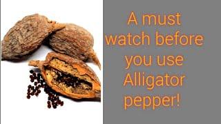 Must watch before you use Alligator pepper!