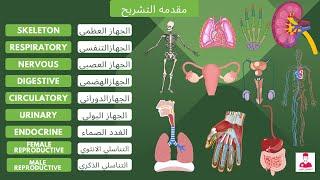 أفضل مقدمه في علم التشريح - شرح جميع اجهزه جسم الانسان