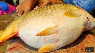  I Never Seen || Giant Carp Fish Cutting Live In Fish Market | Big Carp Fish Cutting Skills