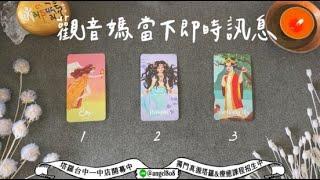 【觀音8】觀音媽當下即時指引訊息《菩薩塔羅占卜》Pick a card｜Angel808天使療癒花園｜獨門真源塔羅｜Mike Wu吳真源老師