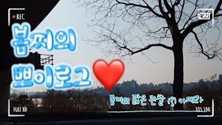 봄찌의 짧은 쁘이로그!!!!!! /#쁘이로그/#드라이브
