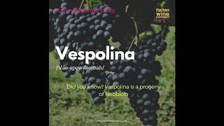 Vespolina