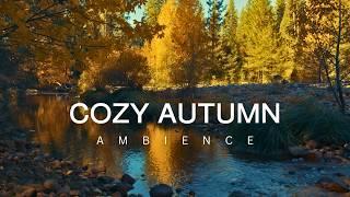 10 Hour    Relaxing Autumn Nature Sounds | Gentle River & Birds | Sleep | Meditation | Focus