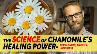 Chamomile Fact or Fiction: Does It Actually Help Anxiety, Depression and Sleep?