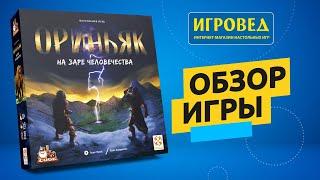 Ориньяк. На заре человечества. Обзор настольной игры от Игроведа