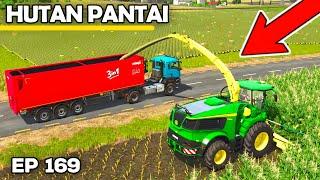 GOING EARLY WITH THE MAIZE | Farming Simulator 25 - Hutan Pantai | Episode 169
