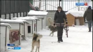 Татьяна Дугина и её приют для собак "Друг"