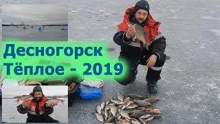 Десногорск  Теплое 2019