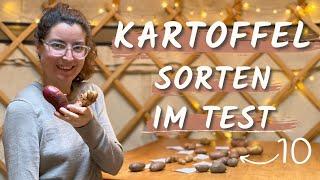 Kartoffelvielfalt entdecken: 10 Sorten im Test  Alles, was du für 2024 wissen musst! ‍