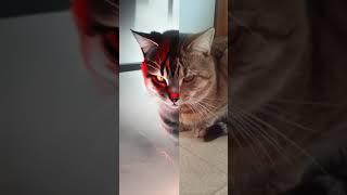 Link has become.....EVIL!!!! 