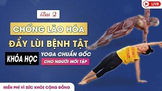 BÀI 2: Bài tập Yoga chuẩn gốc cho người mới tập _ Chống lão hóa đẩy lùi bệnh tật / Nguyễn Hiếu Yoga