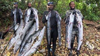 Big !!! Big !!! Catch Today Lots Of Action And Fun If You Like Spearfishing You Have To Watch This