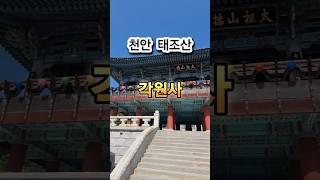 #각원사 #사찰 #천안 #사찰여행 #충남여행 #여행지추천 #가볼만한곳