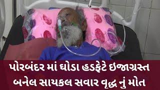 પોરબંદર માં ઘોડા હડફેટે ઇજાગ્રસ્ત બનેલ સાયકલ સવાર વૃદ્ધ નું મોત