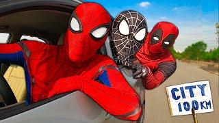 Superheros go to city | Spider-Man, Venom, Deadpool they are best friends | 30-Minute