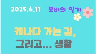 2025.6.11 보비의 일기: 보비가 캐나다 가며 생긴 일, 그리고 캐나다 생활 ~~