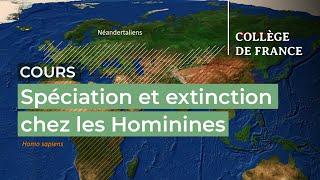 Spéciation et extinction chez les Hominines (4) - Jean-Jacques Hublin (2021-2022)