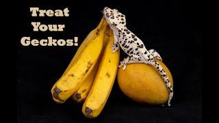 How To Make A Fresh Fruit Treat For Crested Geckos!!