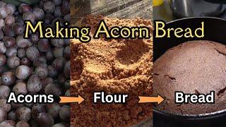 Making Acorn Bread from Scratch