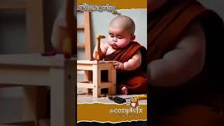 Baby so cute monk ™° :carpentary #shorts #littlemonk #baby #monk #socute #cuteMonk #ytshorts