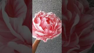 Peony lamp is ready