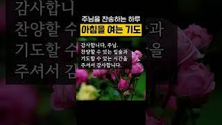 [아침기도] ‘할렐루야! 할렐루야!’ 주님을 찬송하는 입술로 살게 하소서│아침 기도문