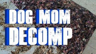 S2 Episode 4: Dog Mom Decomp