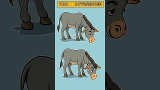 Can You Spot All 4 Differences in This donkey Puzzle?